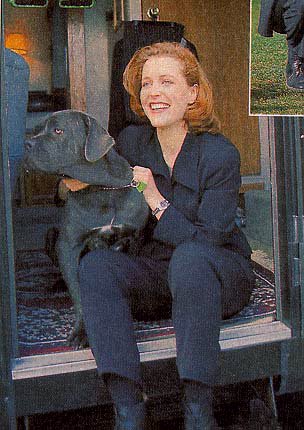Gillian Anderson pic loading...