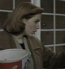 Gillian Anderson pic loading...